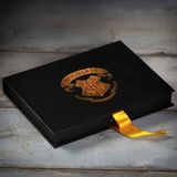 HARRY POTTER HOGWARTS'A DAVET MEKTUP SETİ