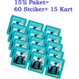 Harry Potter Hogwarts'ta 1 Yıl Sticker Seti 15li Paket (15'li Paket= 60 Stciker+ 15 Kart)