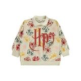 Harry Potter Kız Çocuk Sweatshirt 6-9 Yaş Tebeşir