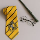 Harry Potter Kravat Asa Gözlük Seti Gryffindor Slytherin Hufflepuff - Sarı