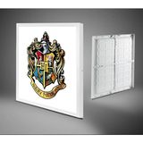 Harry Potter Logo Avize, 60X60 Kare Modern Çocuk Odası Avize, 60WATT, LED Işık, Tavan Lambası, Yeni - Beyaz