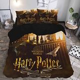 Harry Potter Temalı Baskılı Çift Kişilik Nevresim Takımı Çok Renkli