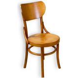 Hasağaç Azelya Doğal Ahşap Bentwood Yuvarlak Sırtlı Bal Rengi Modern Sandalye