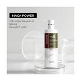 Hasarlı Saçlar Için Derinlemesine Onarıcı Saç Kremi 500 ml - Option-1