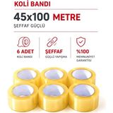 Hasbant Pro HAS-0015 Koli Bantı 45MMX100MT Bandı Şeffaf Flex Hotmelt Pro - 6'li Paket