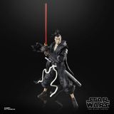 Hasbro Star Wars The Black Series The Ronin, Visions Premium Koleksiyon 6 Inç Aksiyon Figürü
