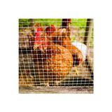 Hasır Tel 2,50 Mm, 2x2 Cm, 100X200 Cm, Kaynaklı, Bahçe, Tarım, Inşaat, Kümes