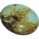 Hasyılmaz Doğal İran Nişabur Firuze (Turkuaz) Taşı 40,1 Karat - 8 Gram T040