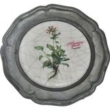 Hasyılmaz Vintage Zınn Çerçeveli Dekoratif Pulmonaria Officinalis Bitkisi Temalı Duvar Tabağı 10cm 007