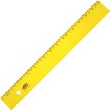 Hataş 0120 30 CM Neon Ekonomik Cetvel
