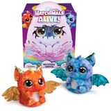 Hatchimals Alive Gizemli Yumurta Draggle – sihirli kendiliğinden çıkan yumurta yaklaşık 25 cm boyunda, etkileşimli sürpriz peluş oyuncaklı, 5 yaşından büyük çocuklar için