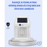 Hatıra Kutusu IP65 Su Geçirmez Güneş Paneli Dış Mekan Lamba ( Lisinya )