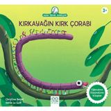 Hatıra Kutusu Kırkayağın Kırk Çorabı