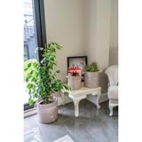 Hatıra Kutusu Kulplu Yuvarlak Düzenleyici Çok Amaçlı Kolay Taşınabilen Organizer Keçe Sepet (Maxi) 03655 ( Lisinya )