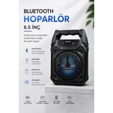 Hatıra Kutusu Mikrofonlu Bluetooth Ses Sistemli Usb, Micro Sd, Fm ve Uzun Pil Ömrü - Lisinya