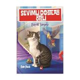 Hatıra Kutusu Sevimli Dostlar Oteli 2 - Büyük Sürpriz