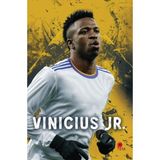 Hatıra Kutusu Vinicius Júnior (Poster Hediyeli)