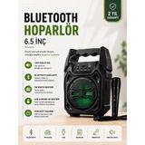 Hatıra Kutusu Yeni Nesil 6.5 Inç Bluetooth Hoparlör Mikrofonlu Taşınabilir Ses Sistemi - Lisinya