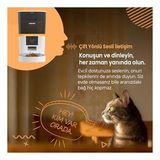 Haustier Qq009 Gece Görüşlü 1080P Fhd Kameralı, Akıllı Otomatik Mama Kabı, App-Wifi Uzaktan Kontrol