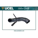 Hava Filtre Hortumu Fıat Palıo 1.2 8V-1.6