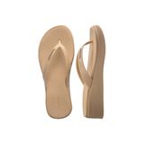 Havaianas Slim High Platform Altın Kadın Terlik