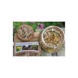 Haven Herbs & Blends Karahindiba Kökü 50 gr | Dandelion Root | Bitki Çayı |