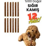 Havhav 12’lli Doğal Dana Kamış (Bully Stick) 15 cm – Kokusuz Köpek Çiğneme Çubuğu - Kemiği - 12 Adet - Naturel