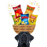 Havhav HavHavMarket Köpek Oyuncak Seti 5 Adet Peluş Cips Hışırtı Sesi Çıkaran Sesli Köpek Oyuncakları