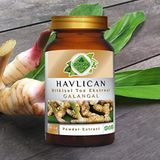 Havlıcan (Galangal) Toz Ekstresi 100 gr. Cam Kavanoz