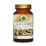 Havlıcan Toz Ekstresi 100 Gr. Cam Kavanoz
