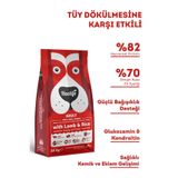 Havlife Kuzulu ve Pirinç Orta ve Büyük Irk 15 kg Yetişkin Köpek Maması