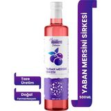 HAVRAN KOCASEYİT Doğal Antioksidan Yaban Mersini Sirkesi 500 Ml