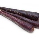 Havuç Mor ( Çoklu Tohum ) - 5 Gram