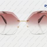 Hawk HW 1688 05 Kadın Güneş Gözlüğü