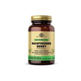 Hawthorne Berry 100 Kapsül