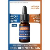 Hayal Gücü Esansiyel Uçucu Koku Yağı Ortam Kokusu Doğal Yağ Sihirli Küre Hobi Esansı 10ml