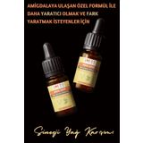 Hayal Gücü - Farkındalık Sinerji Karışım Esansiyel Uçucu Yağ Buhurdanlık Yağı Aromaterapi Difüzör