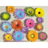 Hayal Mavi Sarı Kırmızı Sarı Renk Geçişli Quilling Kağıdı