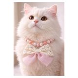 HAYAL PATİSHOP İncili Kedi Kolyesi Fiyonklu Şık Kedi Boyun Tasması