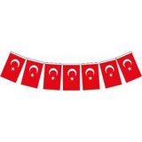 Hayal Sepeti Büyük Boy İpli Kağıt Türk Bayrağı 40 Li 11*18Cm