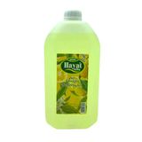 HAYAT 5LT LİMON KOLONYA BİDON (4604)