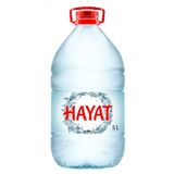 Hayat 5lt Su