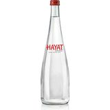 Hayat Cam 750 ml Su