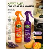 Hayat Oda Kokusu - Lavanta