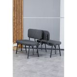 Hayat Serisi Mutfak, Yemek, Bahçe, Kafe, Modern Bench, Puf, 2 Adet - Antrasit Antrasit