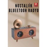 Hayat Store Nostaljik Radyo Bluetooth Bağlantılı Şarjlı Yüksek Ses Kaliteli ( Lisinya )