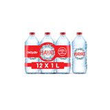Hayat Su 1 Litre (12 Adet)