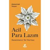 Hayat Yayıncılık Acil Para Lazım - Kazanmanın Yol Haritası