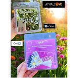 HayDün Aynalı Hot Flowers Buket Çiçek Sevgiliye Anlamlı Hediye Dekoratif Süs Modern Tasarım - Çok Renkli