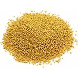 Hayfene 1 kg Sarı Hardal Tohumu